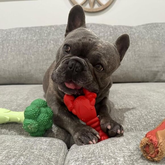 Broccoli Power Chew Toy for Dogs, Dog Toys for Aggressive Chewers, Bacon & Chees - Picture 10 of 14